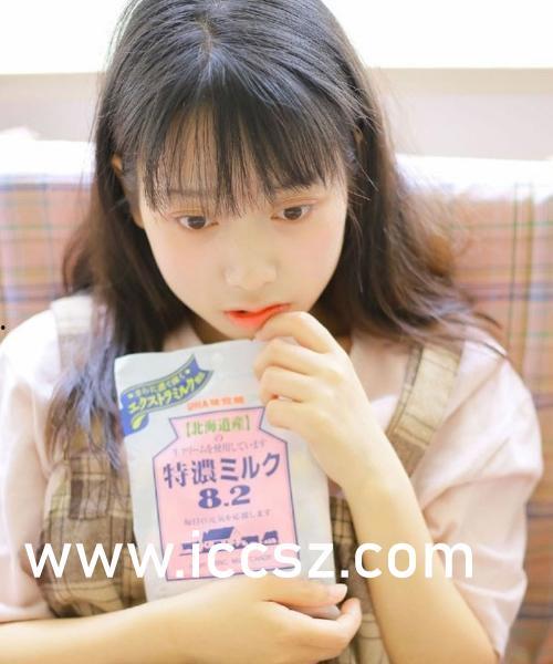 印尼巴士模拟器国产车辆模组 