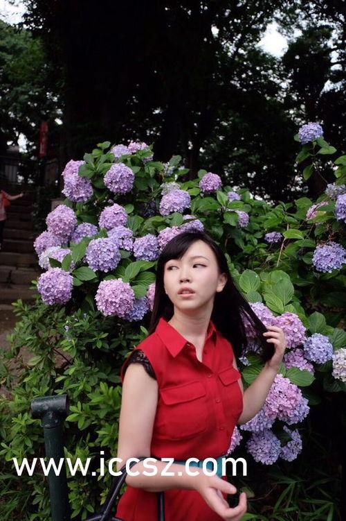 印尼巴士模拟器国产车辆模组 