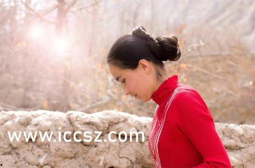 印尼巴士模拟器国产车辆模组 