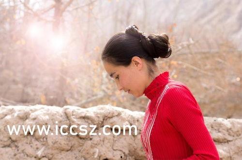 印尼巴士模拟器国产车辆模组 